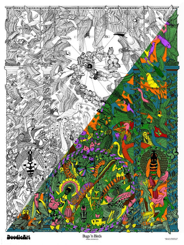 Bugs & Birds Doodle Art POSTER KIT (24 x 34 inch)